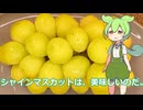 【ずんだもん実況】シャインマスカットを実況してみた。（VOICEVOX使用）