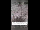 木の椅子