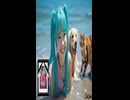 Bowwow Meow Meow - Carl Uncle ft. Hatsune Miku