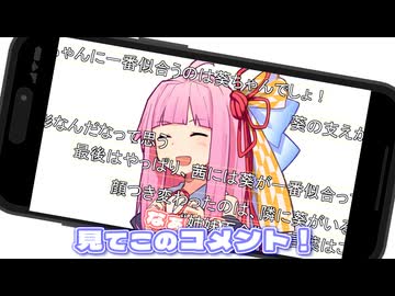 見てこのコメント！