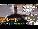 【☔轟くRainworld】壁＃08【Downpour/グルマン/フードクエスト/The Wall/ワニワニパニック】