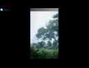 【睡眠用BGM・環境音】　-　雨音　/　Sleep BGM & Ambient Sounds - Rain Sounds