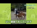 へずまが初日から大暴れ。中国人から奈良の鹿を守れ！【へずまりゅう奈良市議会一般質問市長】