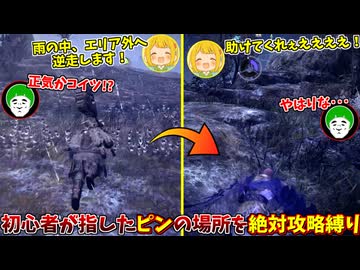 エリア外の雨の中にピンを差して無事死亡する、初心者がピンを指すナイトレインｗ【ELDEN RING NIGHTREIGN】