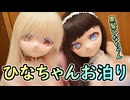 ひなちゃん、リリちゃん家にお泊り！【ラブドールとの日常】【ゆっくり解説・VOICEVOX解説】