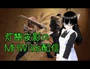 【MHWilds】約40分でグラシスメタルを20個ぐらい採集してくる動画
