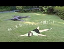 【限界大学生が】知らんけど/MV作って歌ってみました【オリジナルMV】