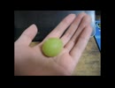 【郵送】シャインマスカット