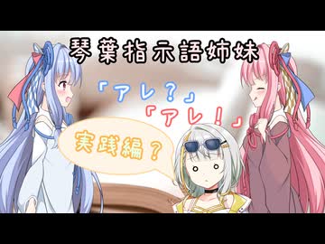 琴葉指示語姉妹（実践編）【だいたいボイロ劇場】