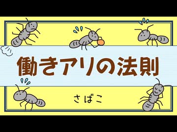 働きアリの法則／可不