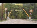 スウェーデンの壊れた少女レイ