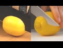 ホモと見るAIとリアル映像の比較動画