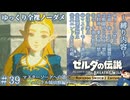 『9種の縛りプレイ＃39』ノーダメージで地獄のハイラル親子の様子を思い出す全裸リンク【ゼルダの伝説ブレスオブザワイルドswitch２エディション/ゆっくり実況】