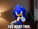このソニックのミームは面白すぎる（笑）
