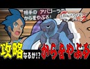 失ったポケモンは二度と戻らない。【BW2】#47