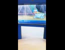 2.害悪で戦うバトルツリー