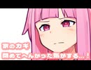 心配性なお姉ちゃん