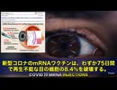 mRNAワクチンで“再生しない目の細胞”が壊れる…若者64人に永久的ダメージ　ファイザーのmRNAワクチンを2回接種… 目の角膜の「内皮細胞」がズタズタに　しかも、この細胞…絶対に再生しません‼️