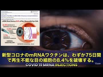 mRNAワクチンで“再生しない目の細胞”が壊れる…若者64人に永久的ダメージ　ファイザーのmRNAワクチンを2回接種… 目の角膜の「内皮細胞」がズタズタに　しかも、この細胞…絶対に再生しません‼️