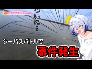 【身内シーバスバトル】No.7はナンバーセブン117Fでシーバスが釣りたい【No.7の絶対に爆発しないフィッシング】