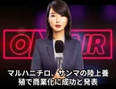 本日2025【９月２７日】のニュース