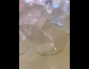 78064239373__B8185ACF-1738-45F6-92FB-95E187FC3FB4