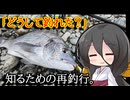 前回釣れたポイントの地形調査のつもりが…【VOICEROIDフィッシング】中国うさぎ