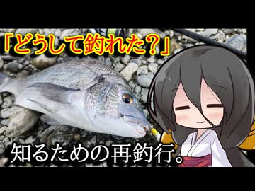 前回釣れたポイントの地形調査のつもりが…【VOICEROIDフィッシング】中国うさぎ