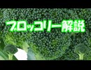 ブロッコリー解説(解説しない)