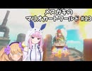 メスガキのマリオカートワールド#13【COEIOINK実況】