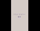 □ドライフラワー（+2）　⛩　優里