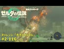 【ティアキン】チャレンジ攻略 大きなグルグル #2-116 ゼルダの伝説ティアーズオブザ キングダムNintendo Switch 2 Edition