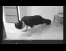 ケツ開発のグルメレース