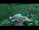 【ファイアーエムブレム無双】【リョナ】【ティアモ】 チキにあっさり負けるだけPart１０