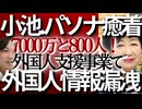 □【小池百合子とパソナ驚愕の繋がり】外国人労働者個人情報800人漏えい事件の裏側□竹中平蔵ルートで7000万円癒着疑惑□ 民間なら利益出るのになぜ？都民不在の外国人政策【国際信頼失墜真相を完全暴露】✋