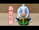 あかり草