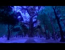 【VRChatワールド紹介】蒼星樹