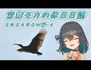 宮舞モカの休日日誌 #3-4 飛翔x優勝！2024GW編【VOICEPEAK車載】