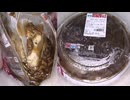 645円84銭のセブンイレブンの肉あんかけチャーハンを食べました。　#セブンイレブン　#肉あんかけ　#チャーハン