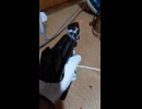 電動ブローバックディクテイター　フルオート実射