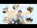 【TOBA ZOO】Hello・New World