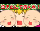 【ゆっくり茶番】魔理沙の赤ちゃんが泣いてしまった・・・