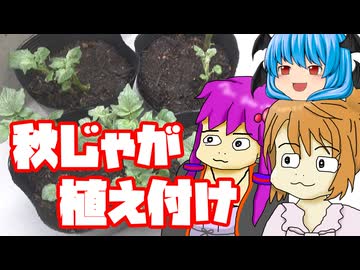 【秋植えジャガイモ②】ぼくも料理動画が作りたかった 定植編
