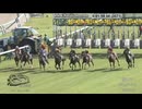 2025 芙蓉s　ウイナーズナイン　カウントダウンタイムコードつき