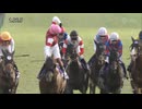 2025 スプリンターズステークス 遅咲きのG1初勝利！