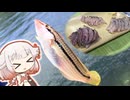 五目釣りを達成したので”せごし三種盛り”にする【いきぬき魚釣り】
