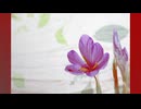 【暗号/解読不可】P技官宛てに作ったオリジナルソング【イビサ】