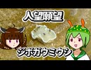 人望願望ジボガウミウシ / 東北きりたん×ずんだもん【動物ソング投稿祭2025】