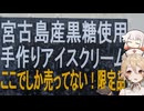 【ソフトクリーム車載動画投稿祭】宮古島でレンタルバイクしてアイス食べたり色んな所に行ったよ