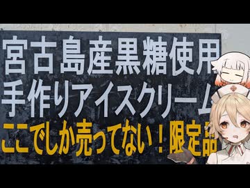 【ソフトクリーム車載動画投稿祭】宮古島でレンタルバイクしてアイス食べたり色んな所に行ったよ